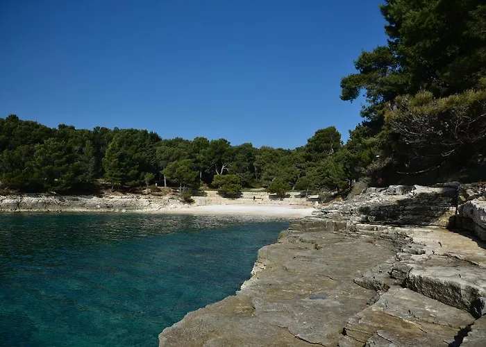 Lounge Διαμέρισμα Πούλα